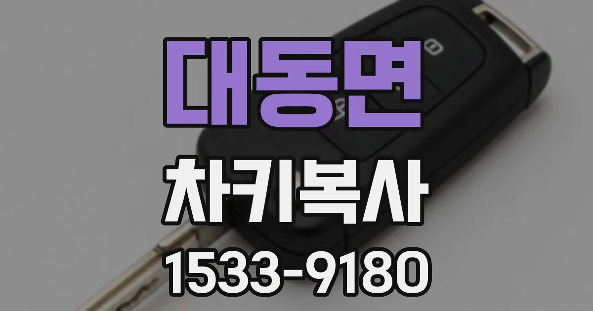 대동면 차키복사