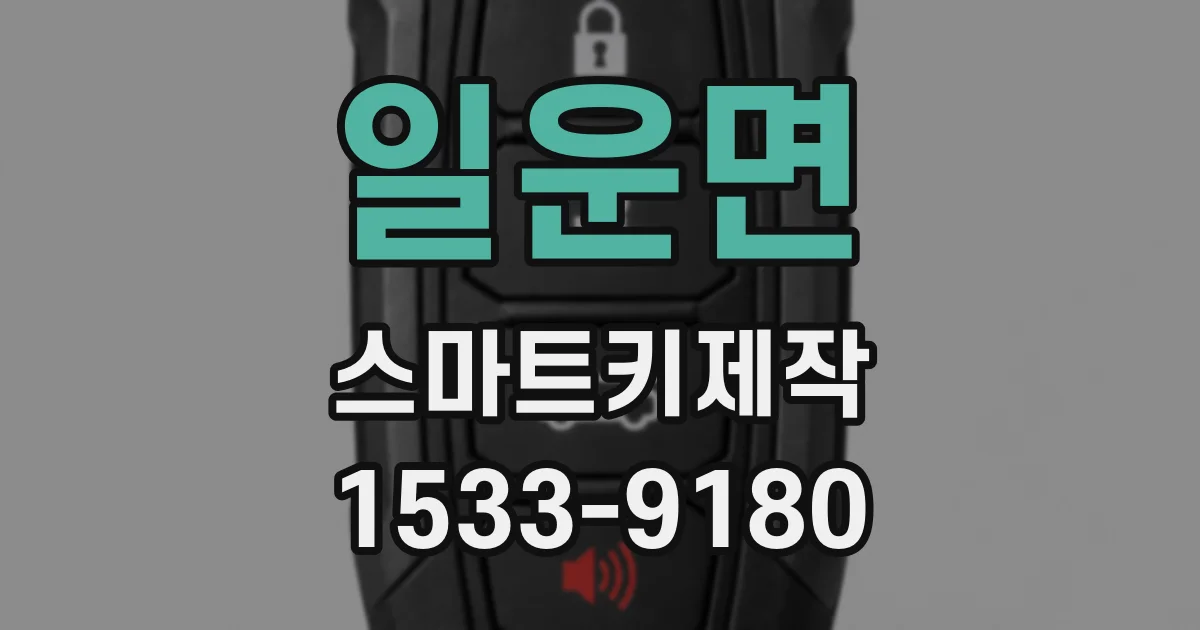 일운면 스마트키제작