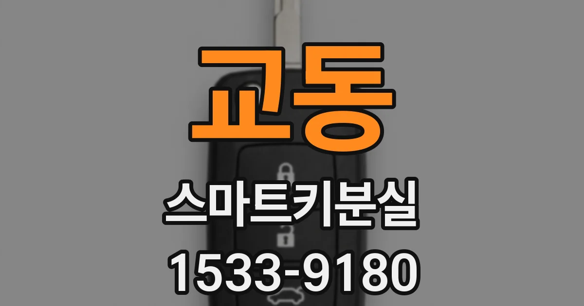 교동 스마트키분실