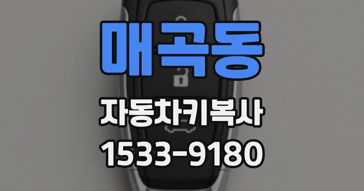 매곡동 자동차키복사