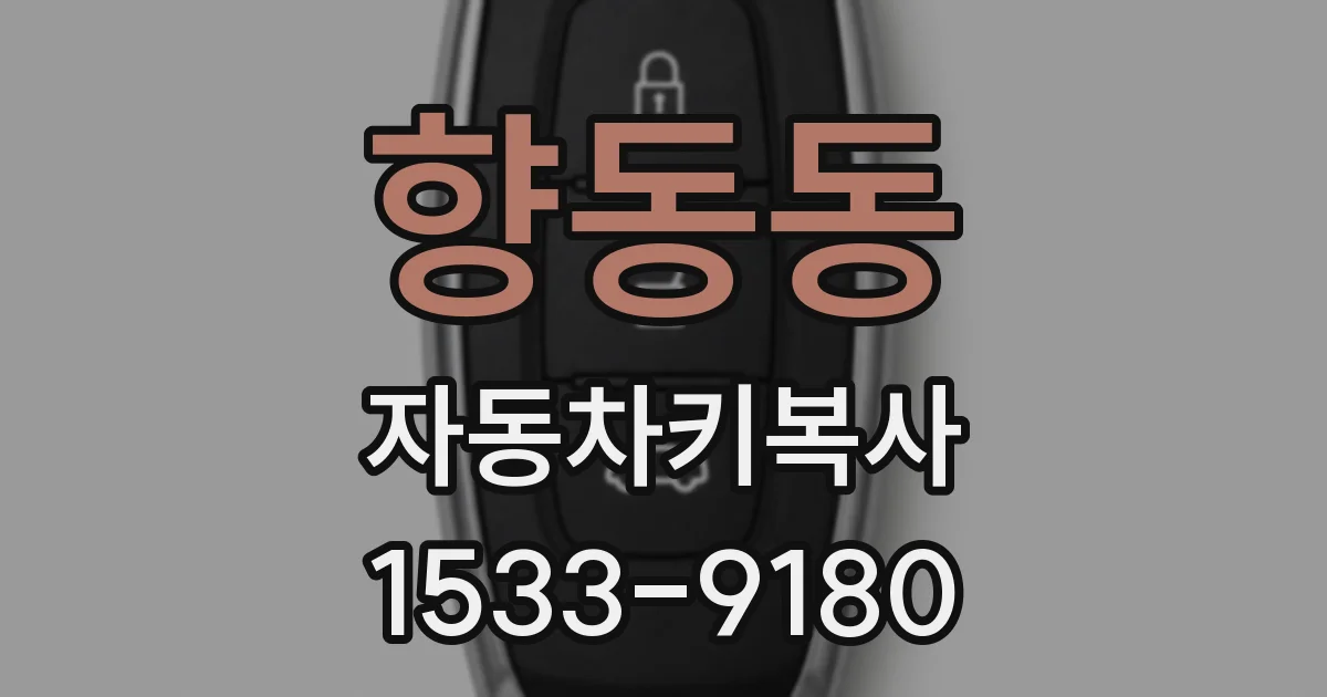 향동동 자동차키복사