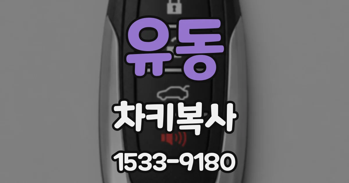 유동 차키복사