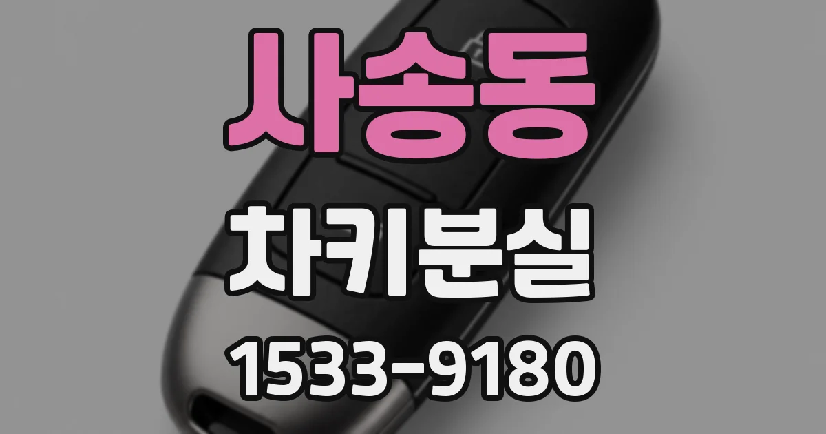 사송동 차키분실