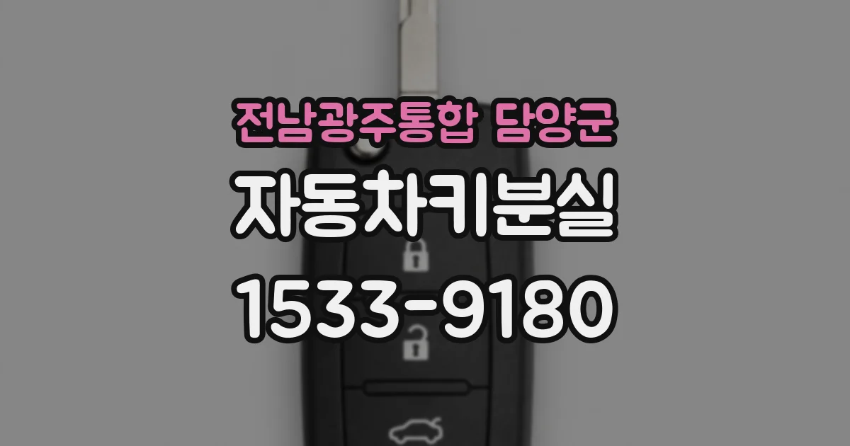 전남광주통합 담양군 자동차키분실