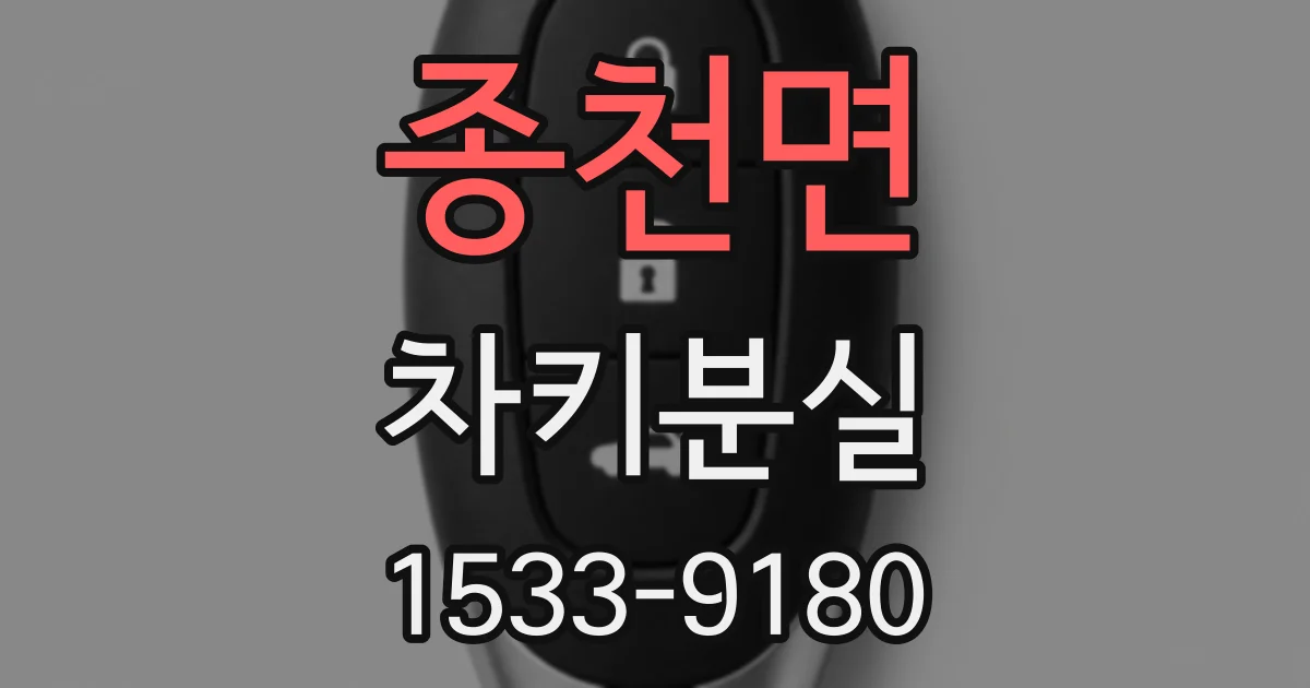 종천면 차키분실