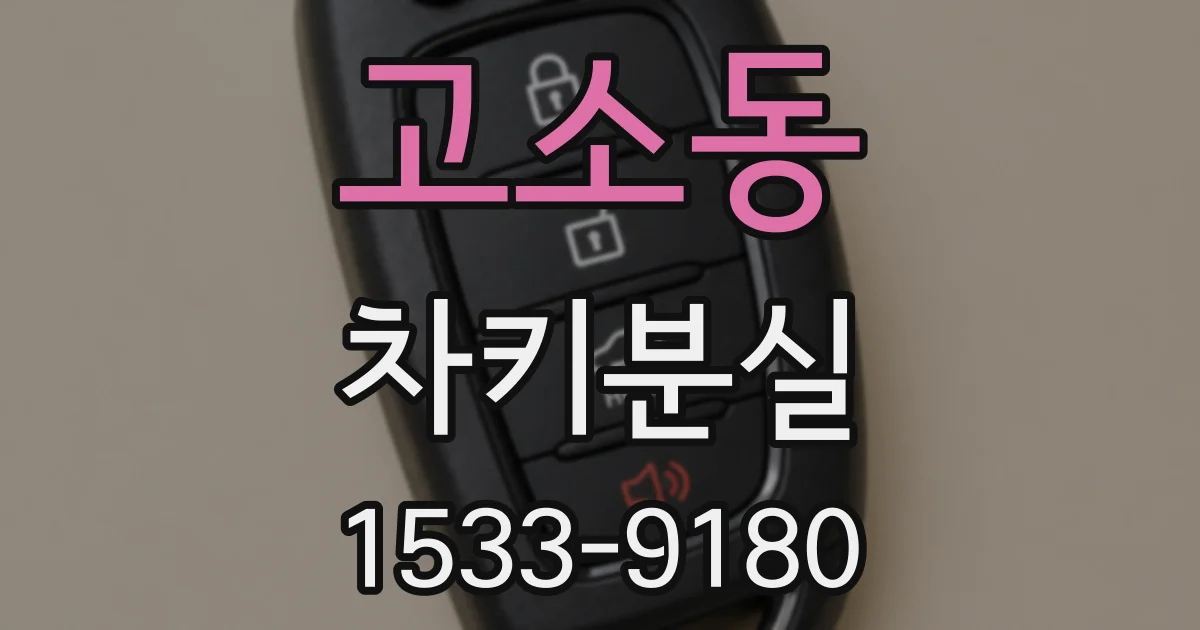 고소동 차키분실