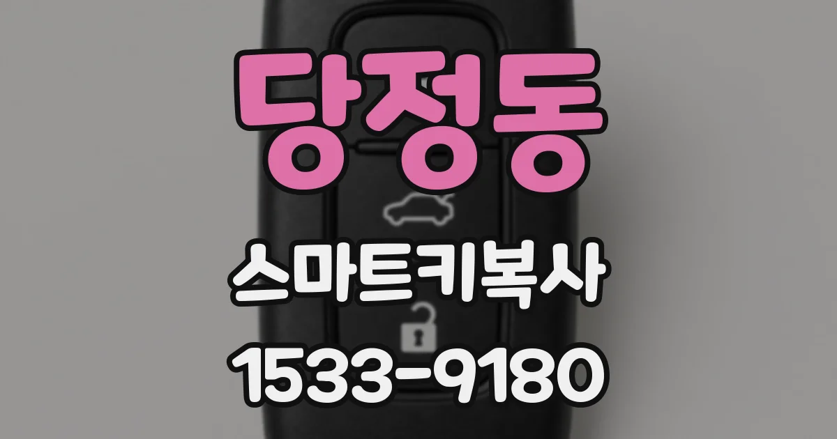 당정동 스마트키복사