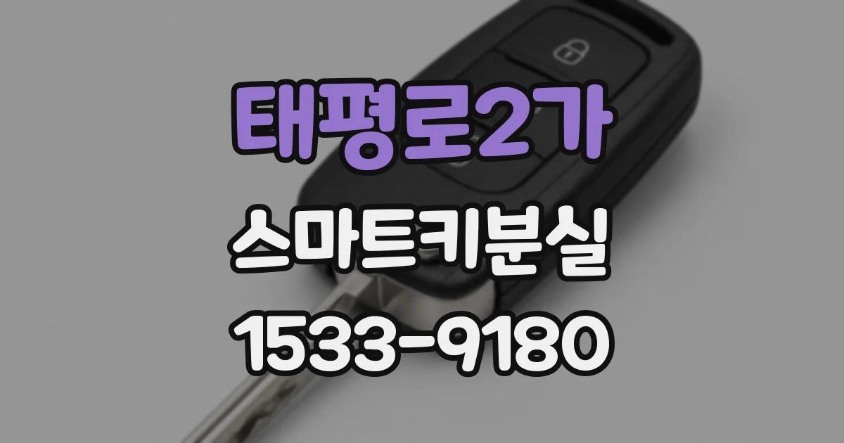 태평로2가 스마트키분실