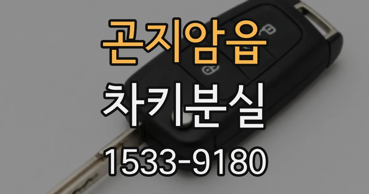 곤지암읍 차키분실