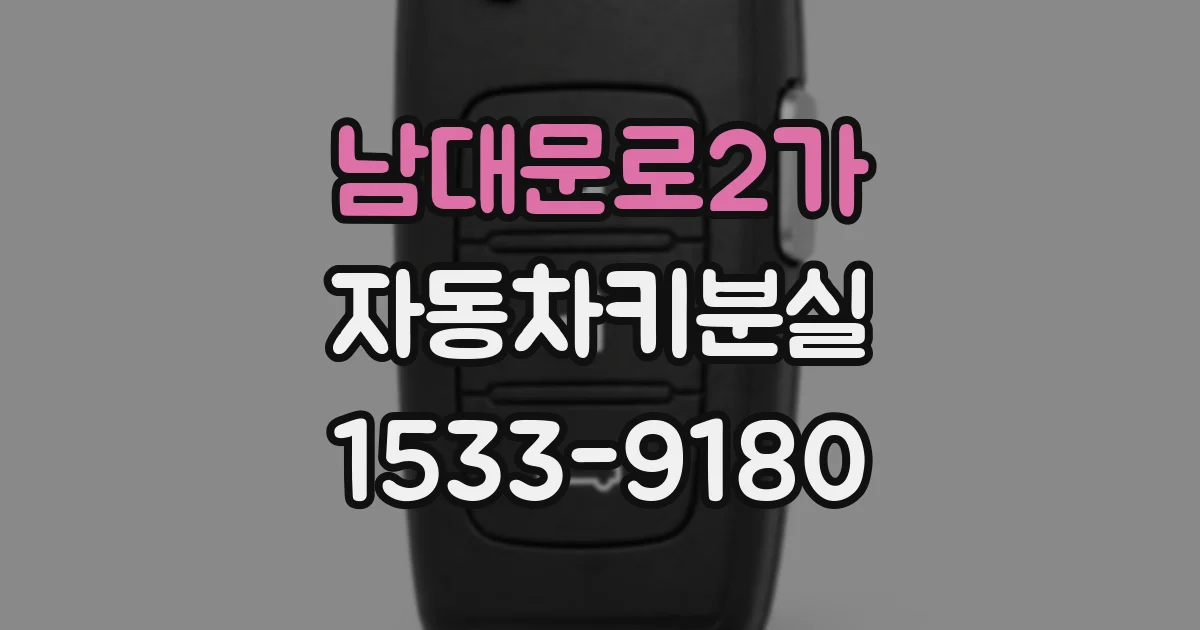 남대문로2가 자동차키분실