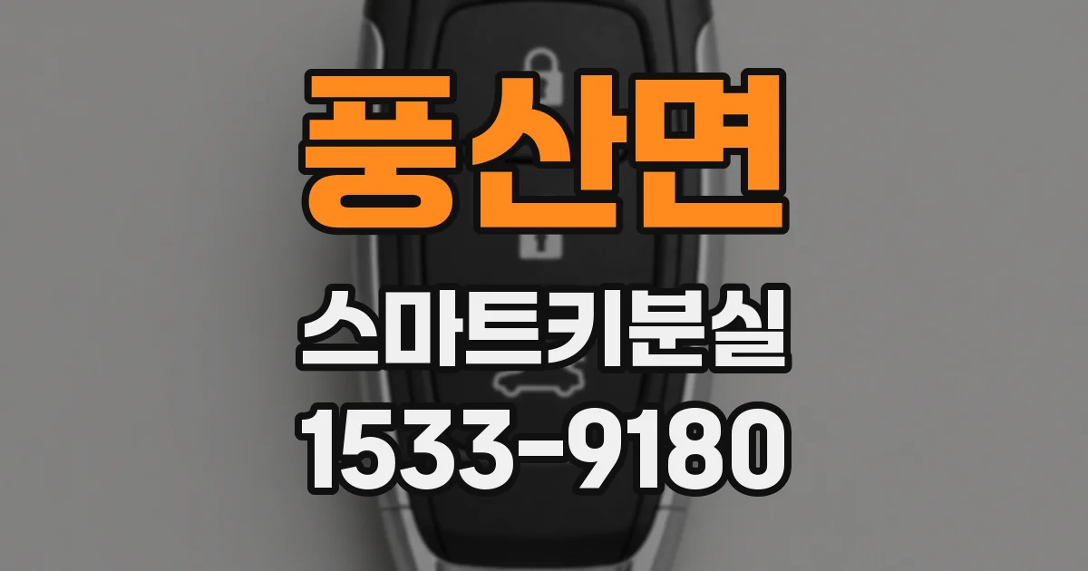 풍산면 스마트키분실