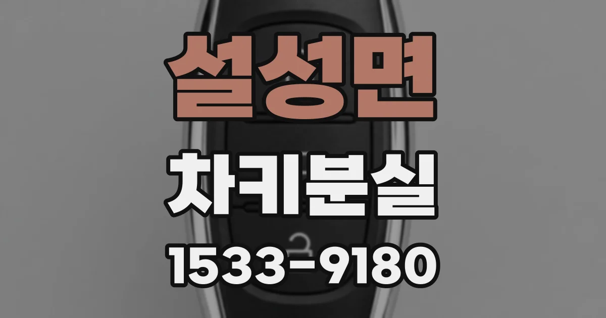 설성면 차키분실