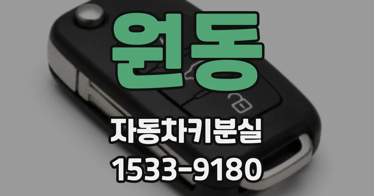 원동 자동차키분실