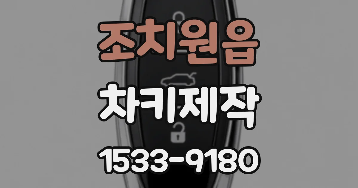 조치원읍 차키제작