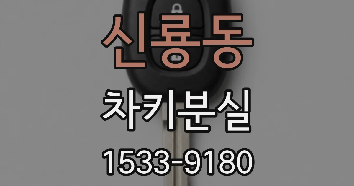 신룡동 차키분실