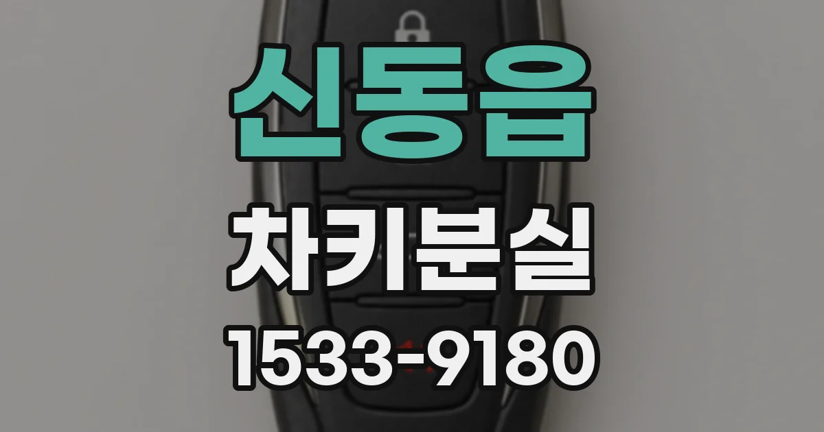 신동읍 차키분실