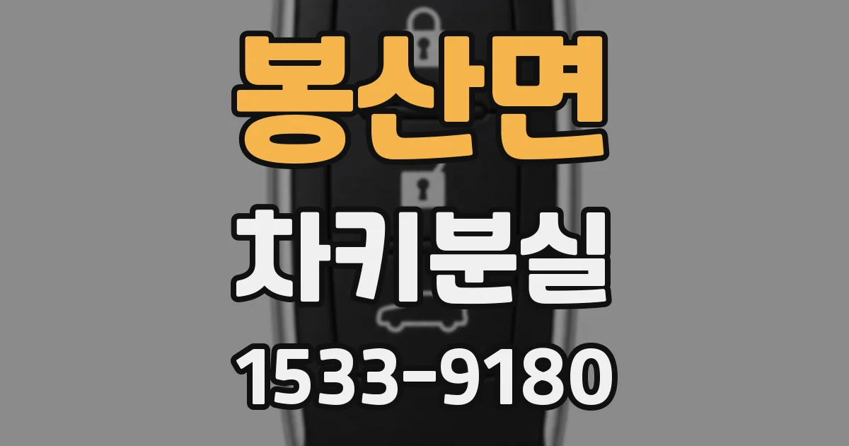 봉산면 차키분실