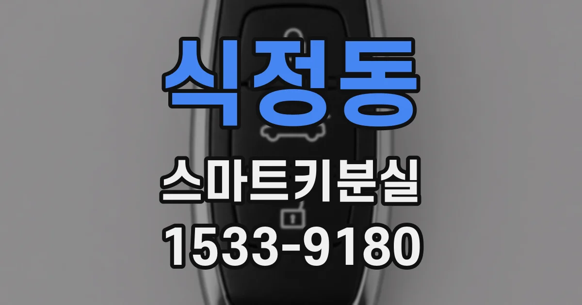 식정동 스마트키분실