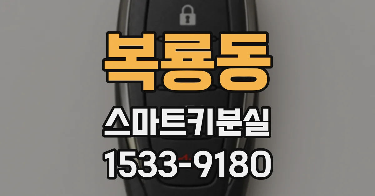 복룡동 스마트키분실