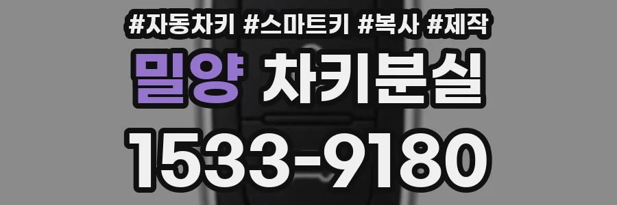 밀양 차키분실