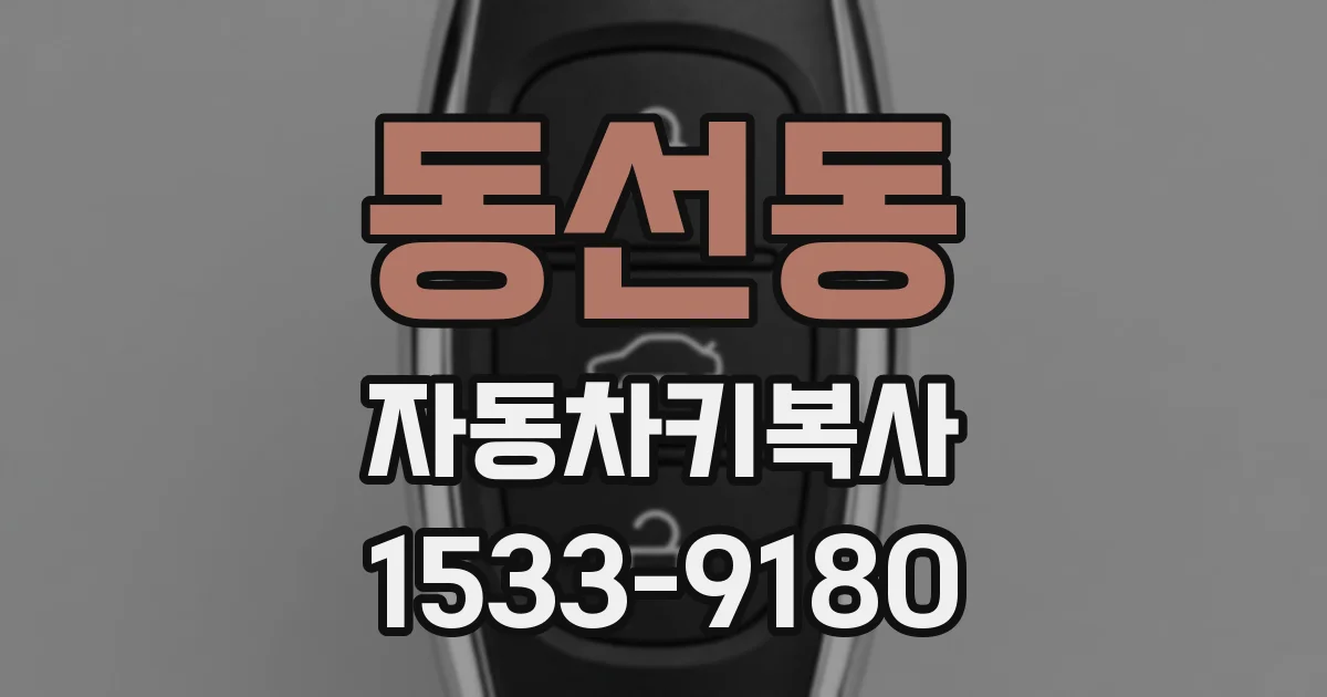 동선동 자동차키복사