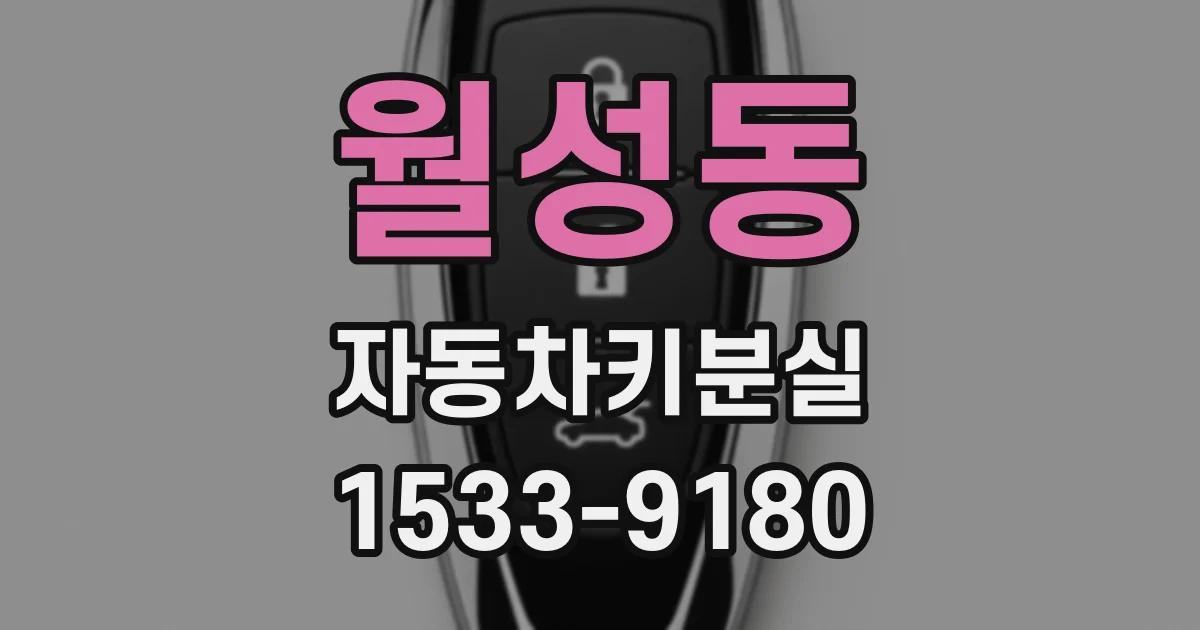 월성동 자동차키분실