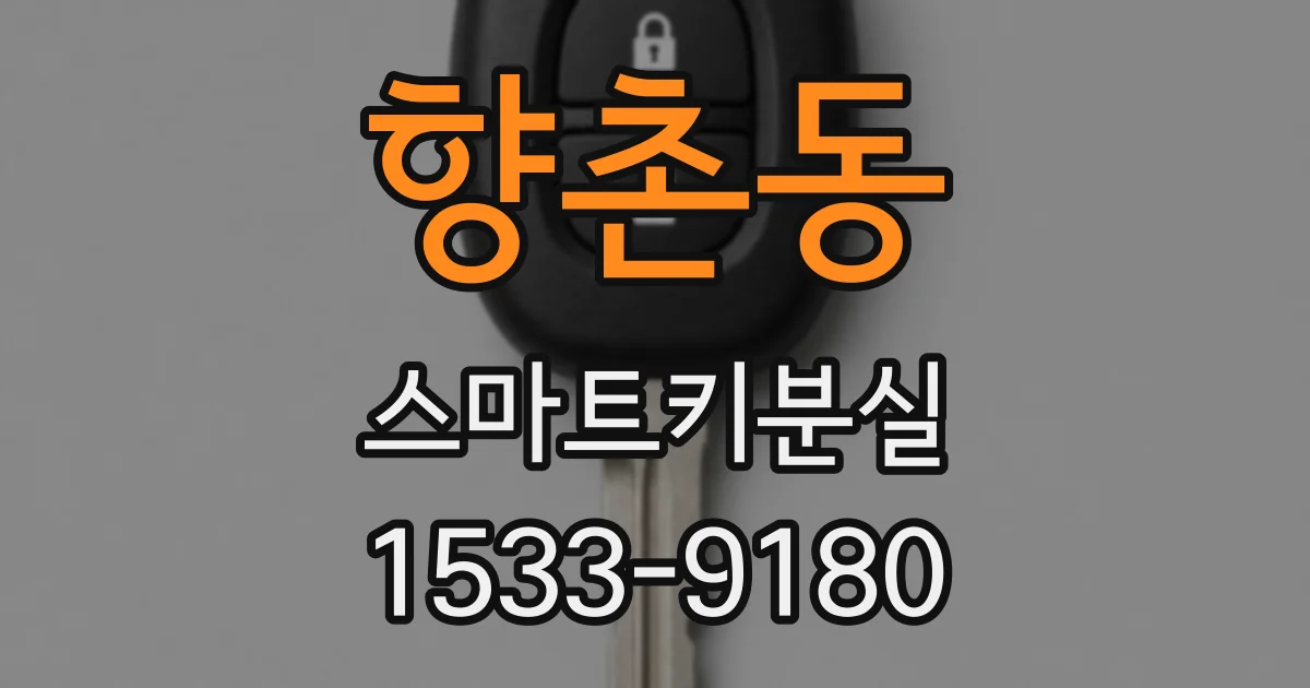 향촌동 스마트키분실