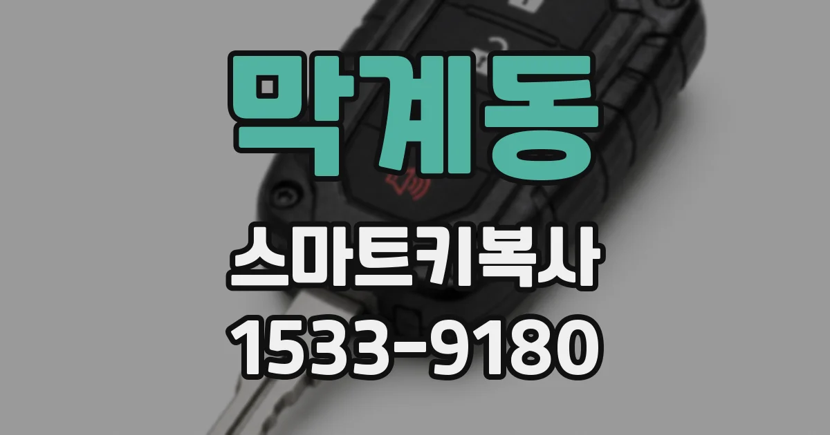 막계동 스마트키복사