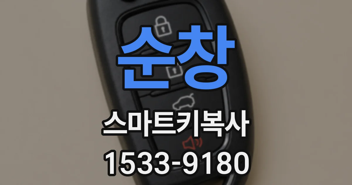 순창 스마트키복사