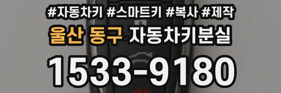 울산 동구 자동차키분실