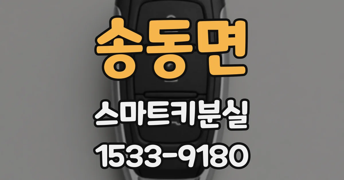 송동면 스마트키분실