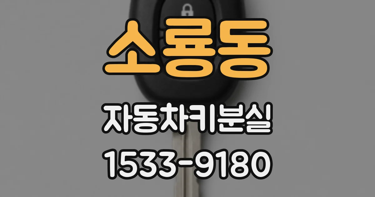 소룡동 자동차키분실