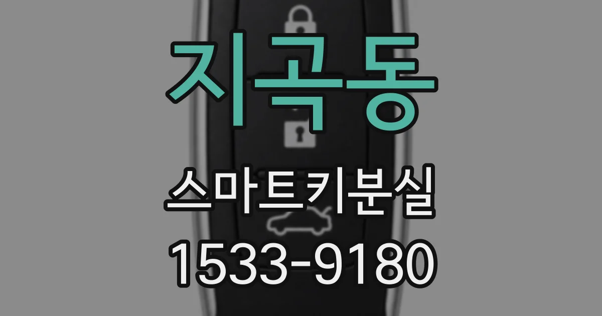 지곡동 스마트키분실
