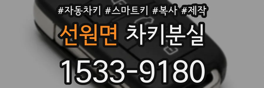 선원면 차키분실