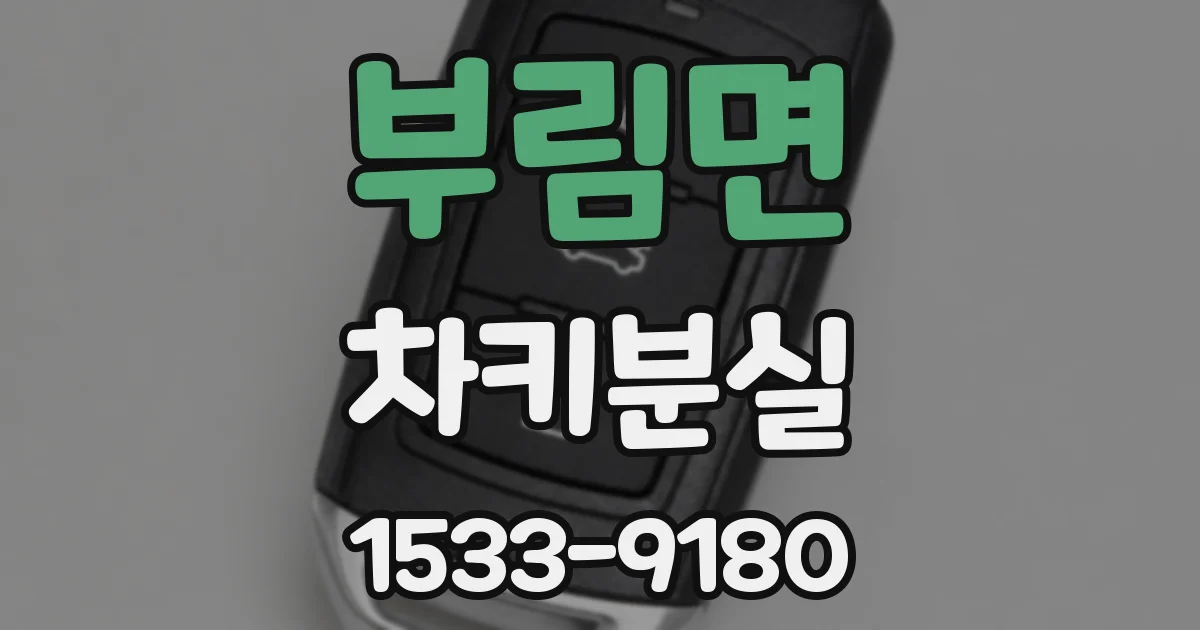 부림면 차키분실