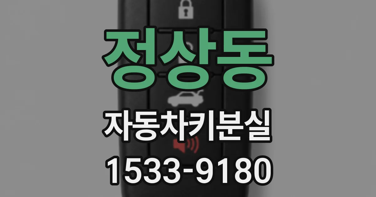 정상동 자동차키분실