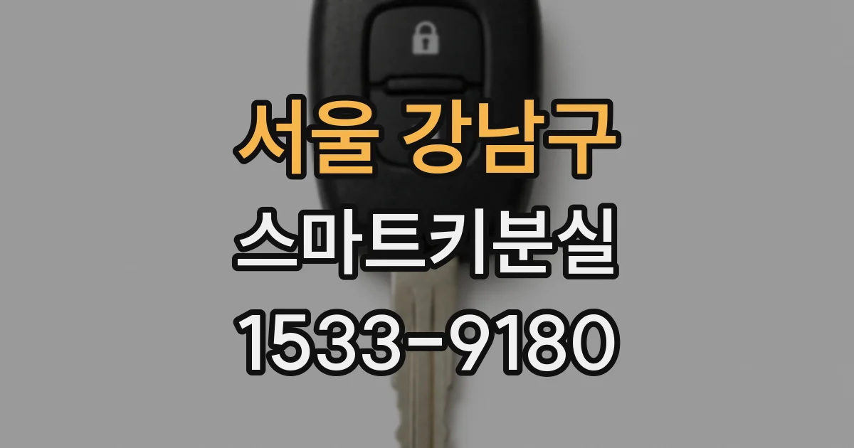 서울 강남구 스마트키분실