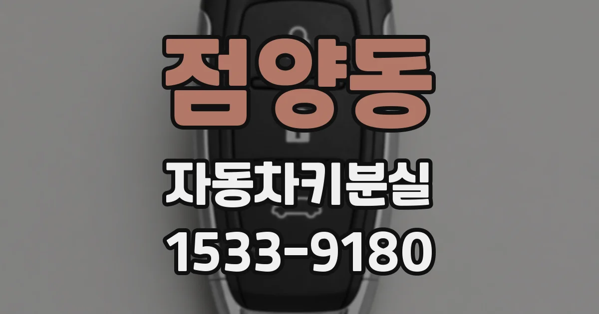 점양동 자동차키분실