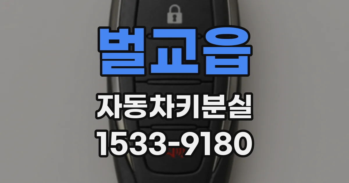 벌교읍 자동차키분실