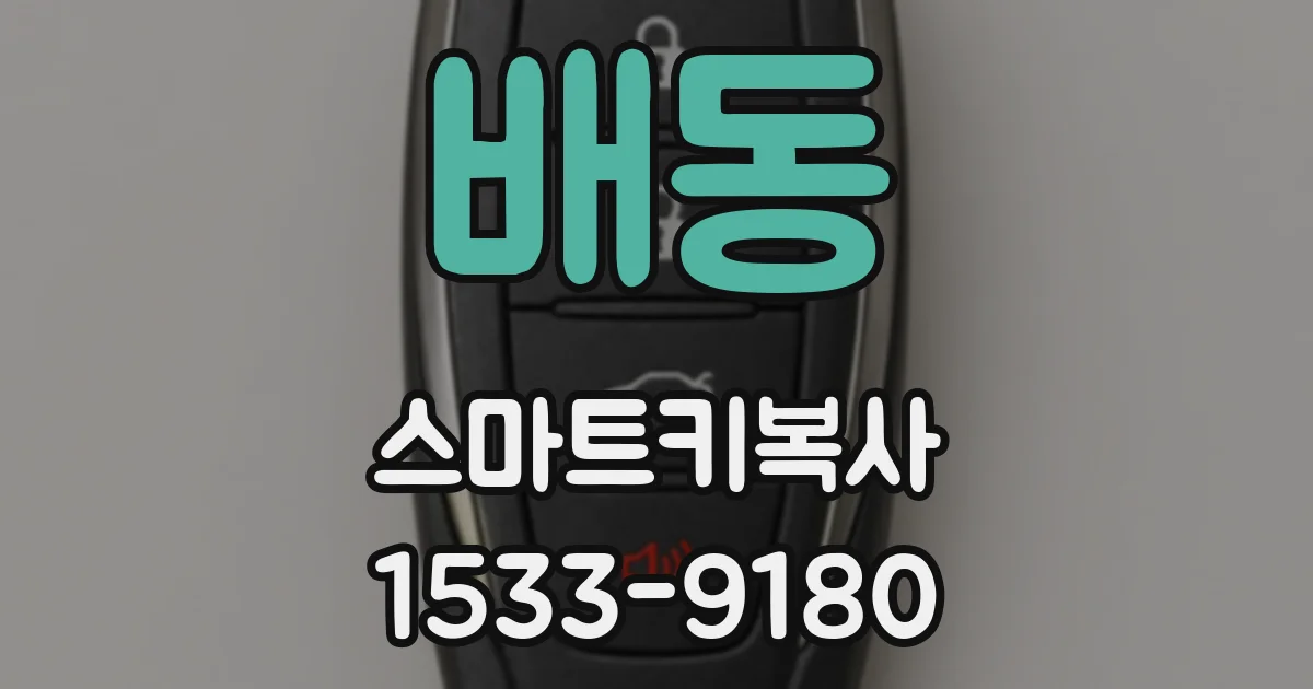 배동 스마트키복사