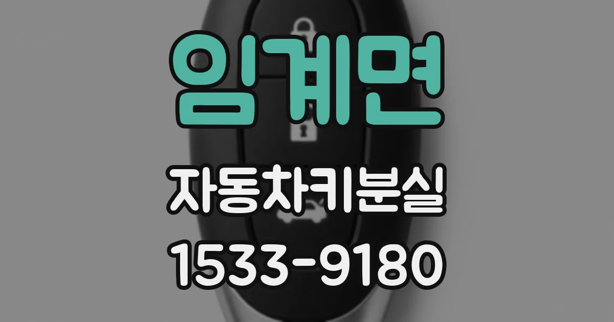 임계면 자동차키분실