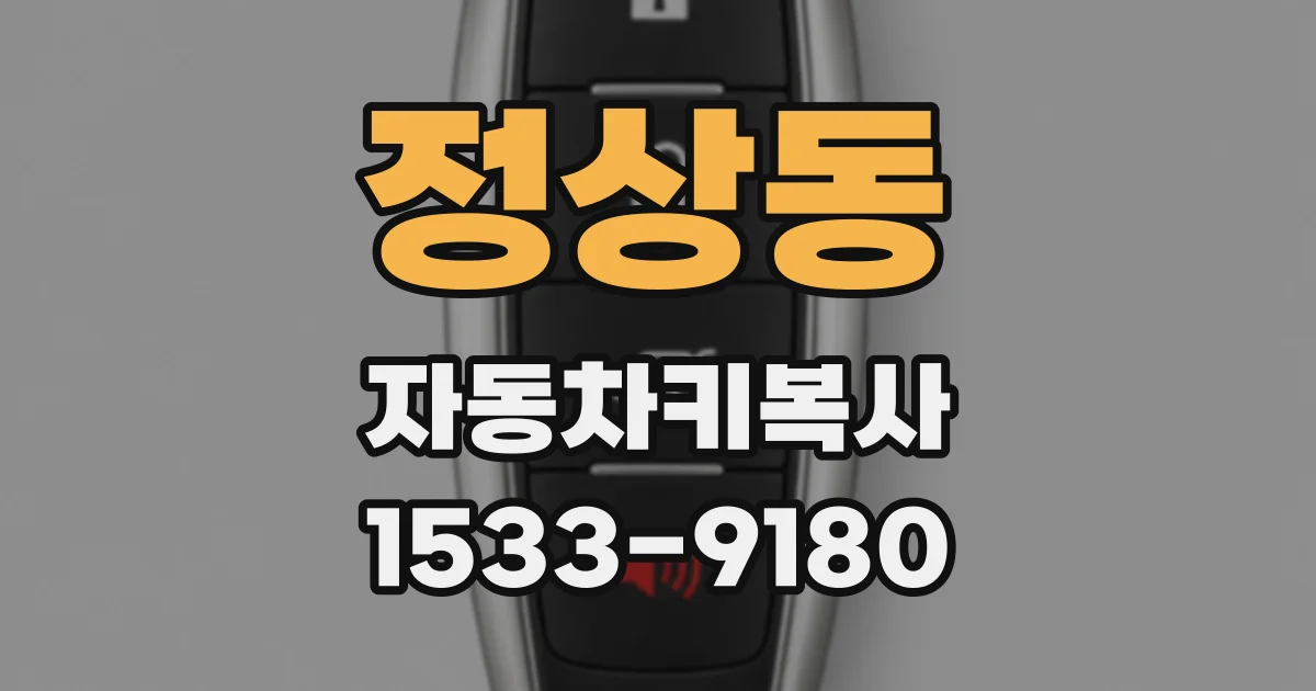 정상동 자동차키복사
