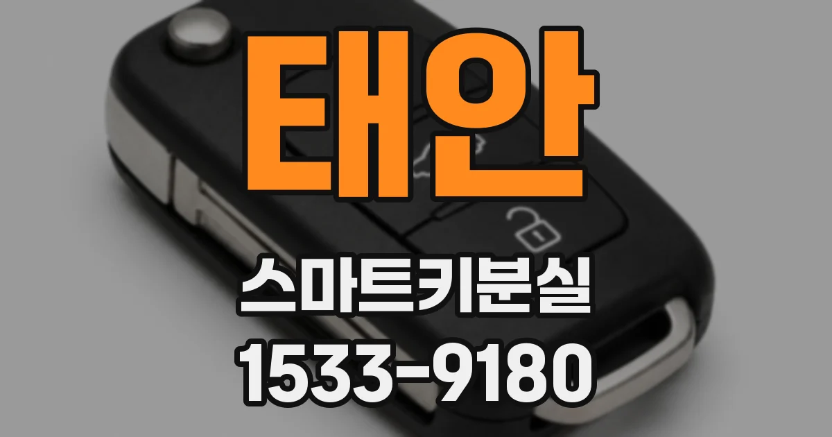 태안 스마트키분실