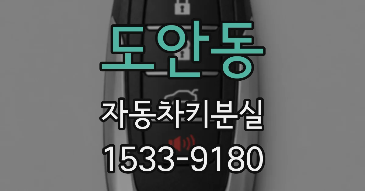 도안동 자동차키분실