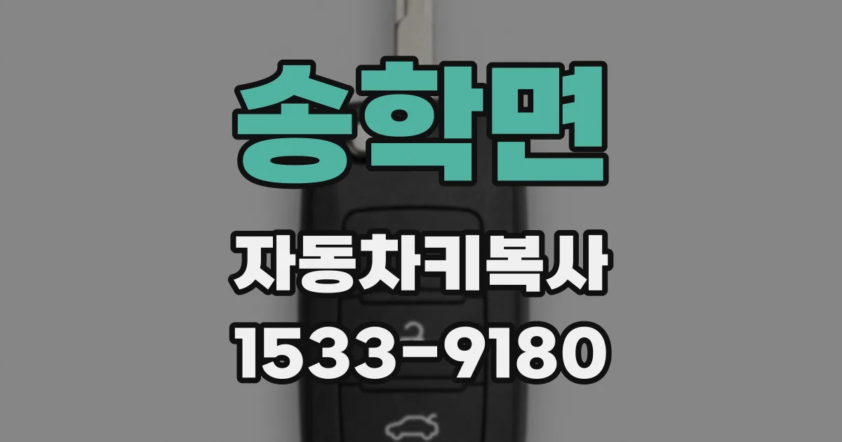 송학면 자동차키복사