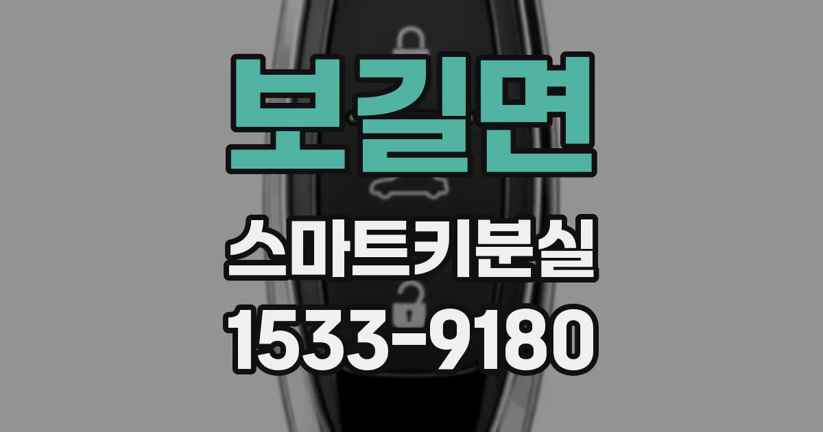 보길면 스마트키분실