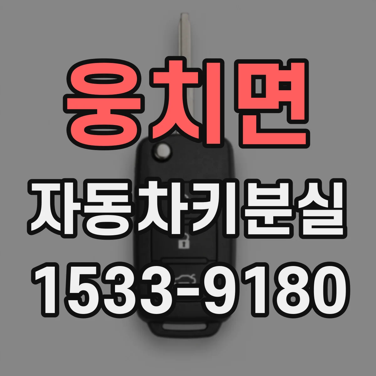 웅치면 자동차키분실