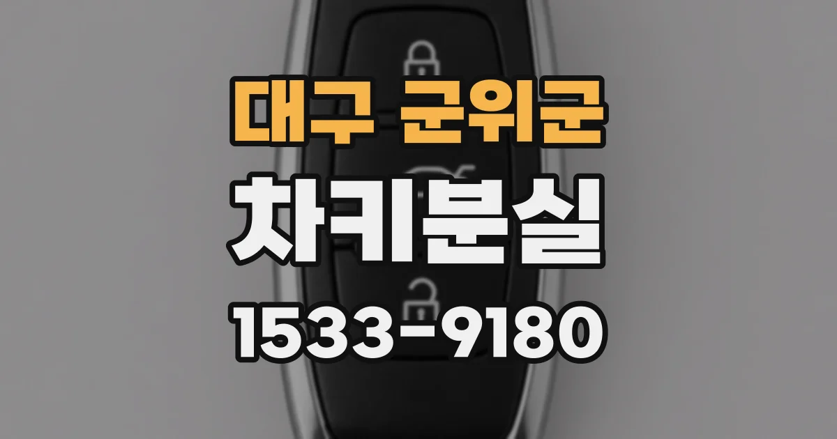 대구 군위군 차키분실