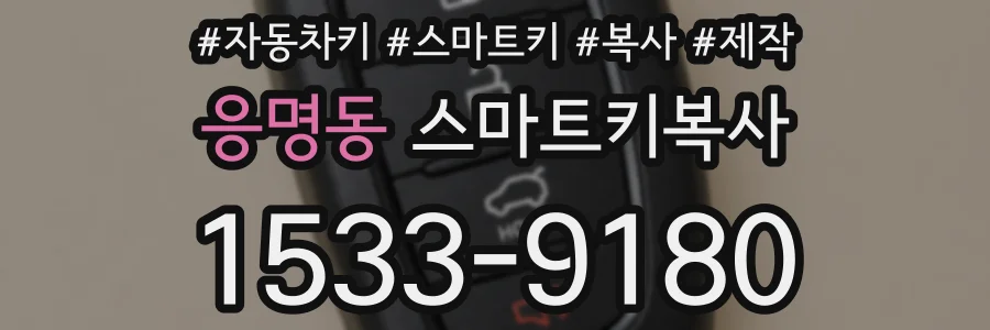 응명동 스마트키복사