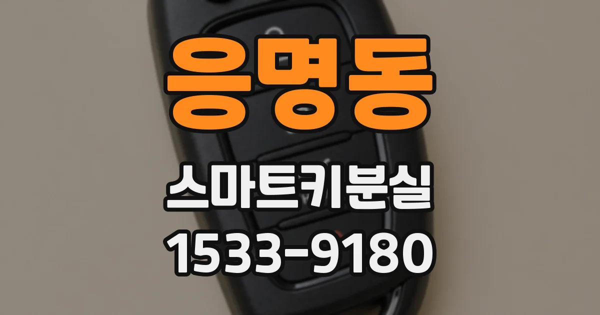 응명동 스마트키분실